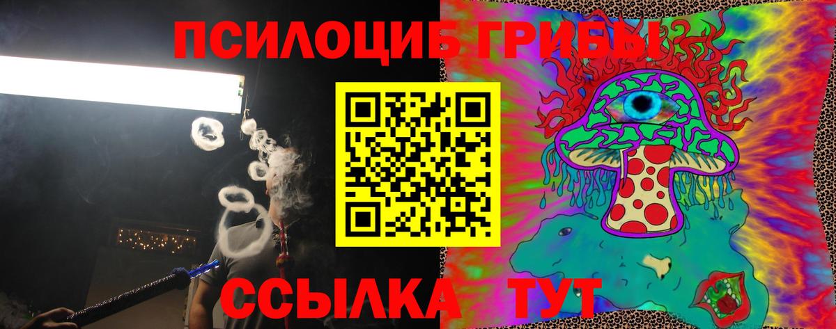 Пугачёв  Галлюциногенные грибы мухоморы  Псилоцибиновые грибы Magic Shrooms  Вход с VPN 